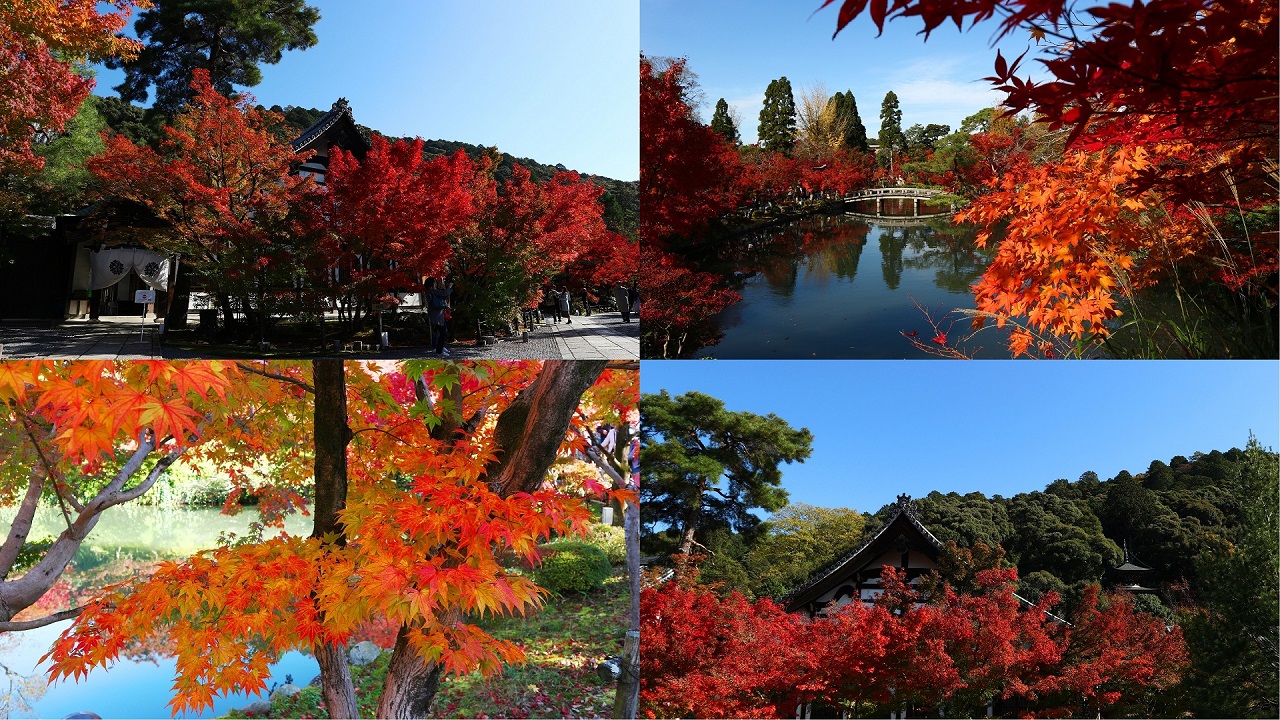 Eikando Zenrinji 永観堂 禅林寺