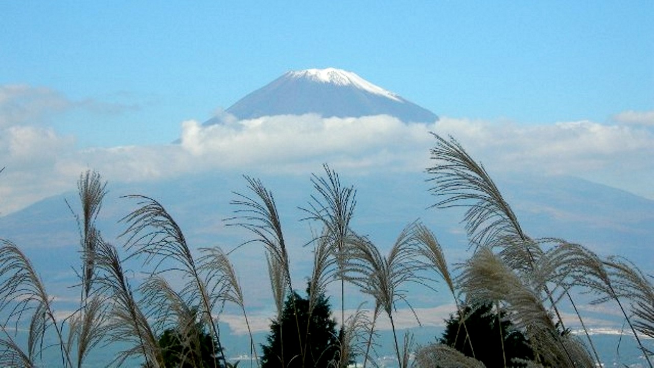 #Mt.Fuji #Fujisan #富士山