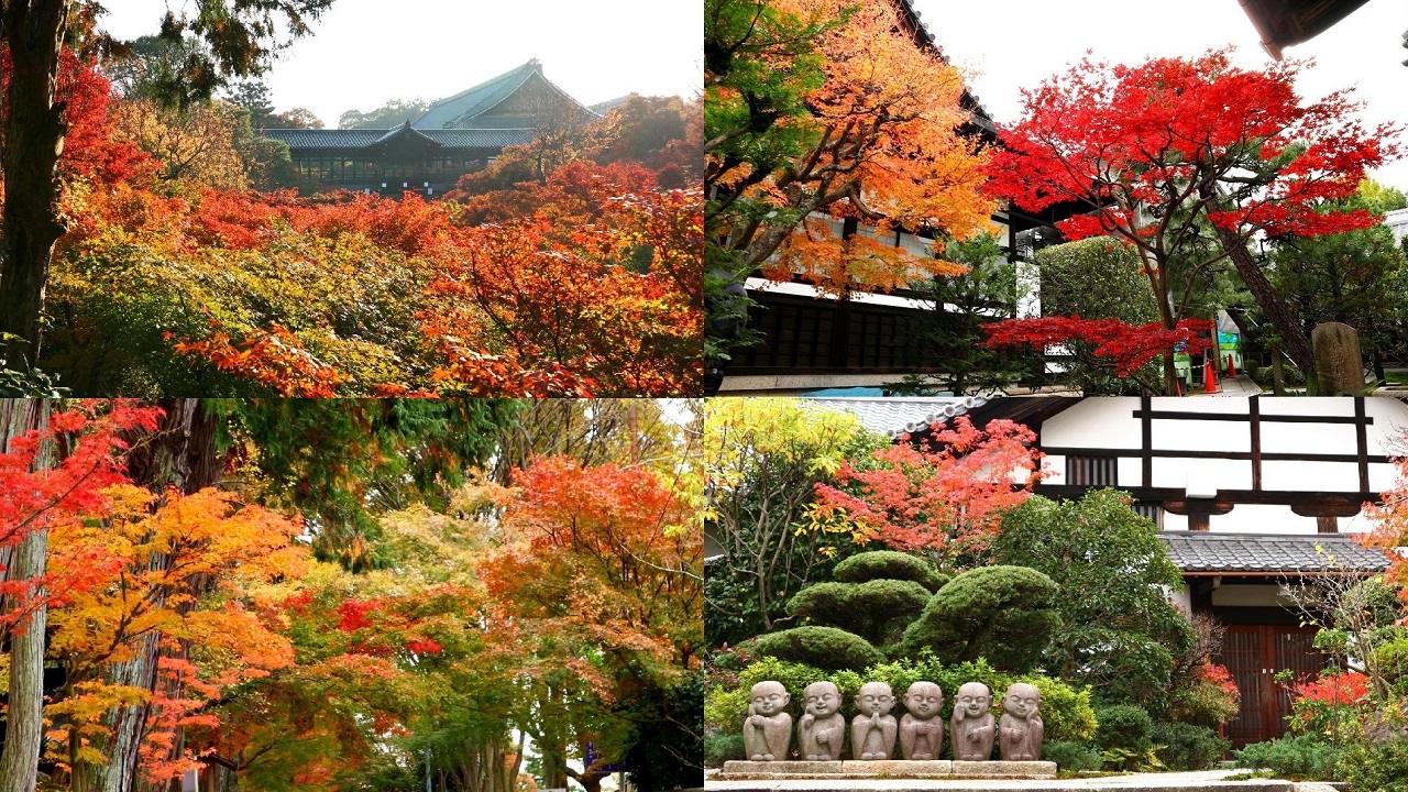 Tofukuji 東福寺