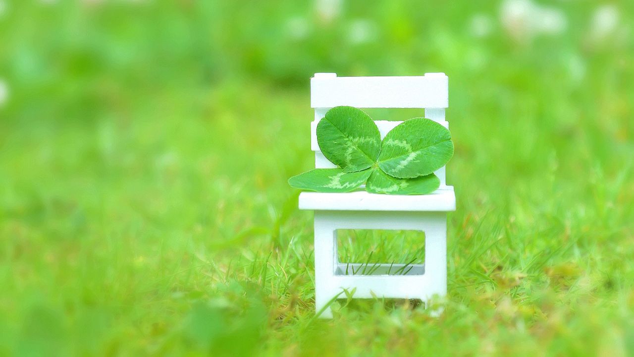 https://www.anything-everything-japan.happy-clovers.com/wp-content/uploads/2020/09/CloverChairMV1280.jpg
